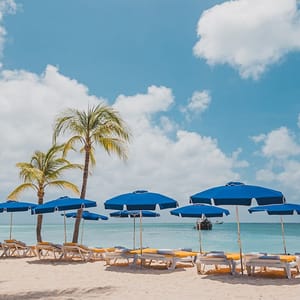 Beach scene with empty sun loungers under blue umbrellas on a sandy shore, with palm trees and a calm ocean in the background.