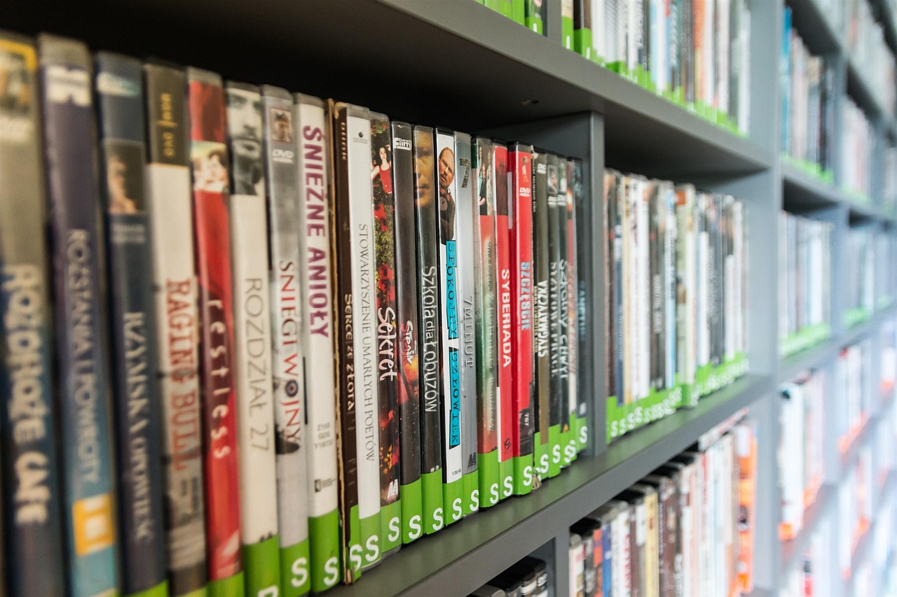 A collection of DVDs neatly organized on a shelf, showcasing a variety of movie and documentary titles.