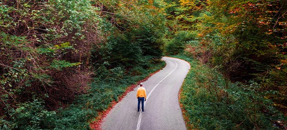 How to Save the Planet with Douglas Tallamy