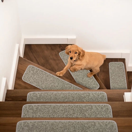 A small dog is on a staircase with gray carpet treads on each stair for traction and safety.
