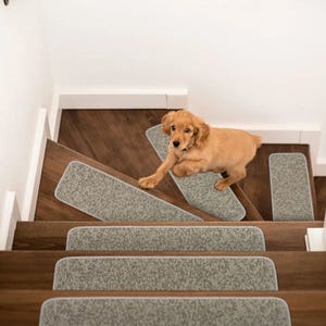 A small dog is on a staircase with gray carpet treads on each stair for traction and safety.