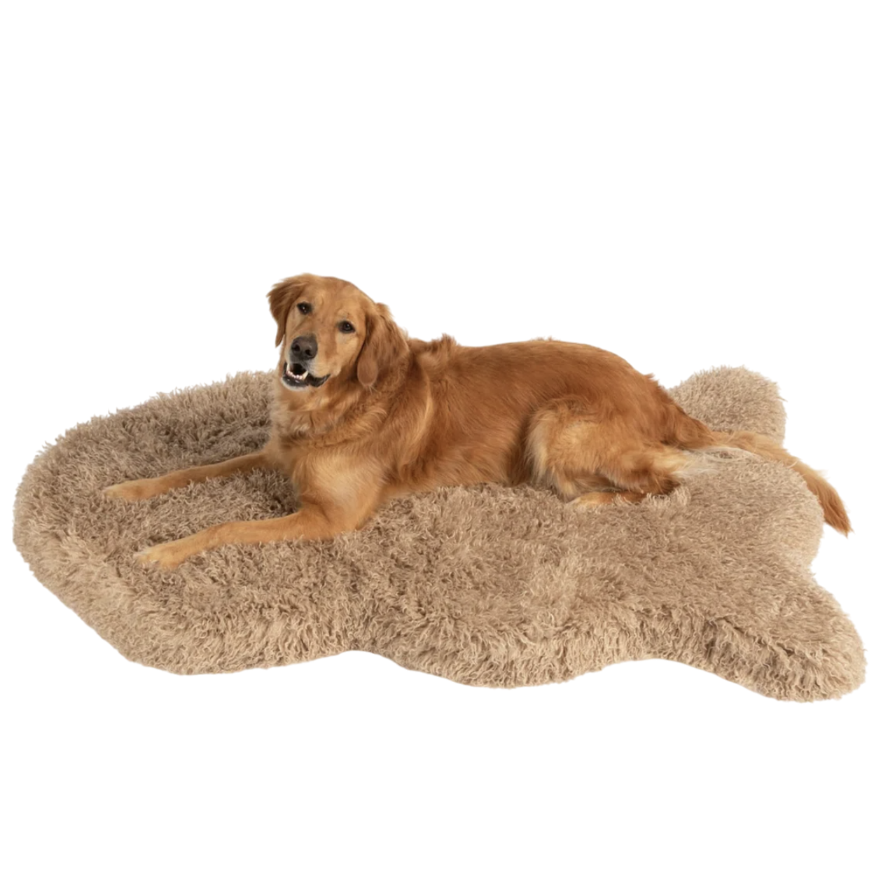A golden retriever is lying on a beige, bone-shaped, fluffy dog bed, providing a soft and cozy resting place.