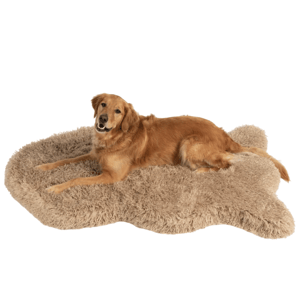 A golden retriever is lying on a beige, bone-shaped, fluffy dog bed, providing a soft and cozy resting place.