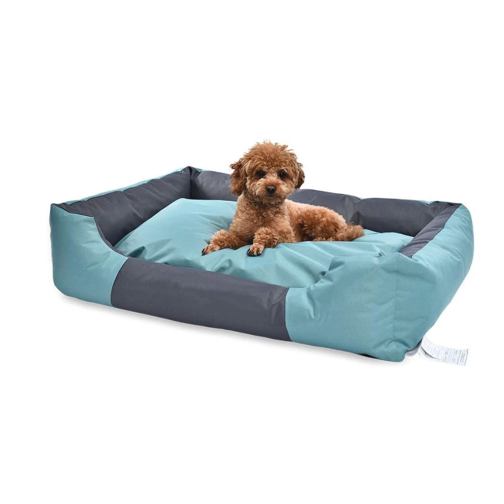 A brown poodle is lying on a blue and grey dog bed.