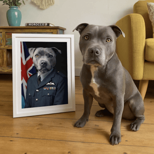 A framed portrait depicts a dog in a military uniform with a background resembling the Union Jack flag, placed next to a real grey dog sitting on a wooden floor.