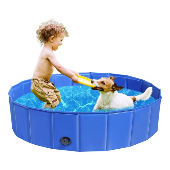 A toddler stands in a blue kiddie pool playing with a dog, offering a yellow toy.