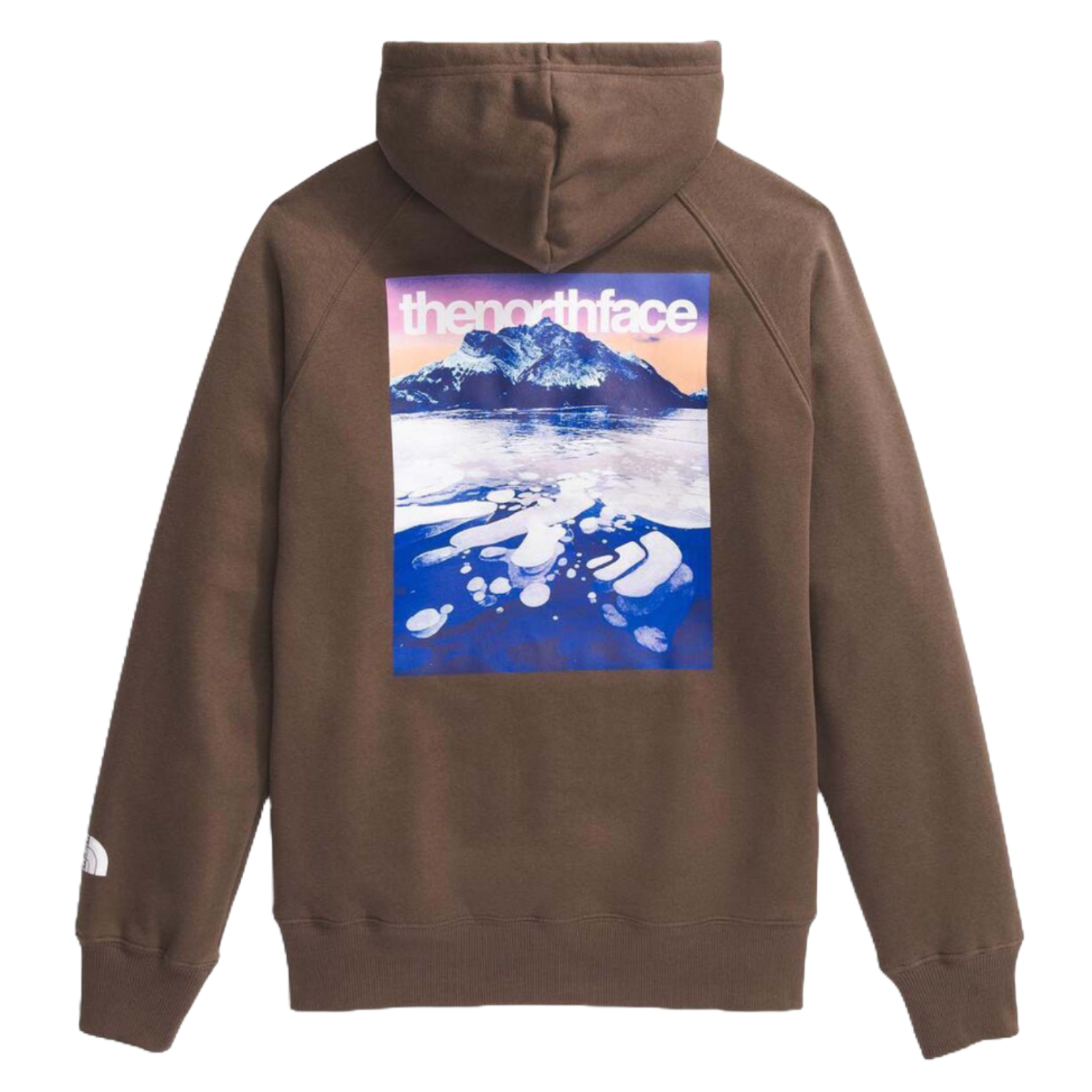 Brown hoodie featuring a large graphic on the back with a mountain and icy landscape, overlaid with \“the north face\“ text. A small logo is also visible on the left sleeve.