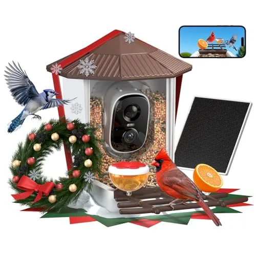 Smart bird feeder with camera, solar panel, and smartphone connectivity, featuring holiday decorations, cardinals, and blue jays.