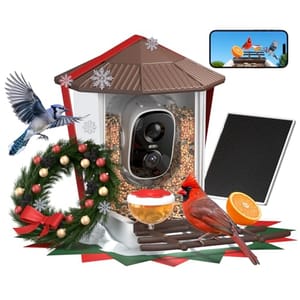 Smart bird feeder with camera, solar panel, and smartphone connectivity, featuring holiday decorations, cardinals, and blue jays.