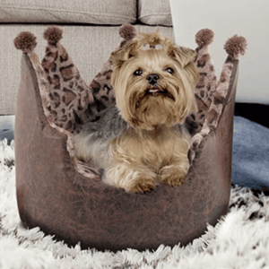 A small dog sits in a crown-shaped pet bed upholstered with leopard print fabric, while a woman with long hair uses a laptop on a gray couch in the background.