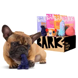 A French Bulldog chews on a toy beside a subscription box labeled \“Bark\“ containing dog treats and toys, including soft chews and colorful rubber toys.