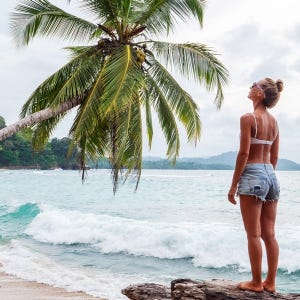 A person in a bikini top and denim shorts stands on a beach near the ocean, looking at a leaning palm tree.