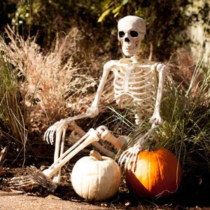 A skeleton model is seated beside two pumpkins, one white and one orange.