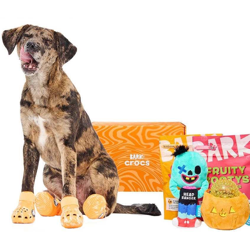 A dog wearing orange Crocs-style shoes sits next to a box labeled \“BARK Crocs,\“ with a plush toy, a Halloween-themed pumpkin toy, and a package of \“FRUITY BOOTYS\“ dog treats.