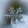 a close up of a snowflake on a blurry blue background