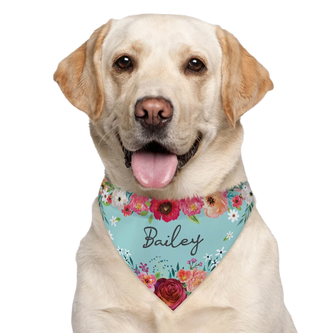 A Labrador Retriever wearing a floral-patterned bandana with the name \“Bailey\“ written on it.