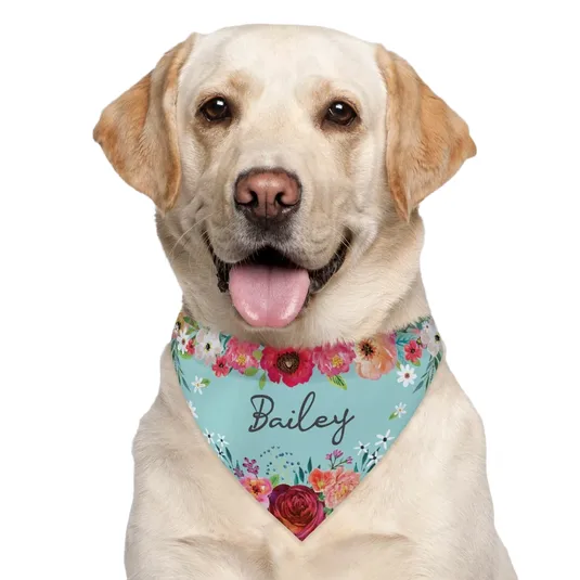 A Labrador Retriever wearing a floral-patterned bandana with the name \“Bailey\“ written on it.