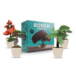 The 4pk Bonsai Tree Kit includes four mini bonsai trees in white pots, with varieties featuring red, green, and textured foliage. The packaging is turquoise with \“Bonsai Tree Kit\“ text.