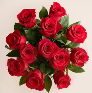 A bouquet of twelve vibrant red roses arranged with lush green leaves, displayed from a top-down perspective against a light background.