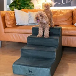A small dog stands on a three-step pet staircase leading to a brown sofa. The staircase is branded \“Noah & Paw\“ and is placed in a stylish living room with a potted plant, a lamp, and a vintage camera print on the wall.
