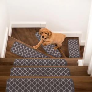 A small dog stands on wooden stairs with gray, patterned non-slip stair treads for safety.