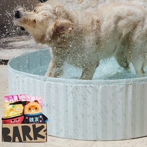 A dog is shaking off water in a small, striped wading pool. Next to the pool is a box labeled \“BARK\“ containing colorful plush dog toys with designs resembling Japanese food items.