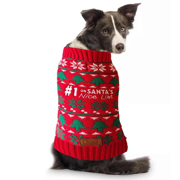 A dog wears a red Christmas sweater featuring green and white festive patterns and the text \“#1 on Santa's Nice List.\“