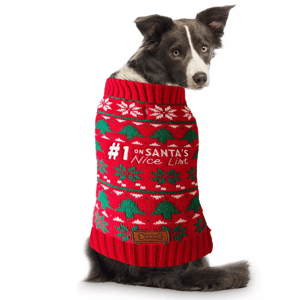 A dog wears a red Christmas sweater featuring green and white festive patterns and the text \“#1 on Santa's Nice List.\“