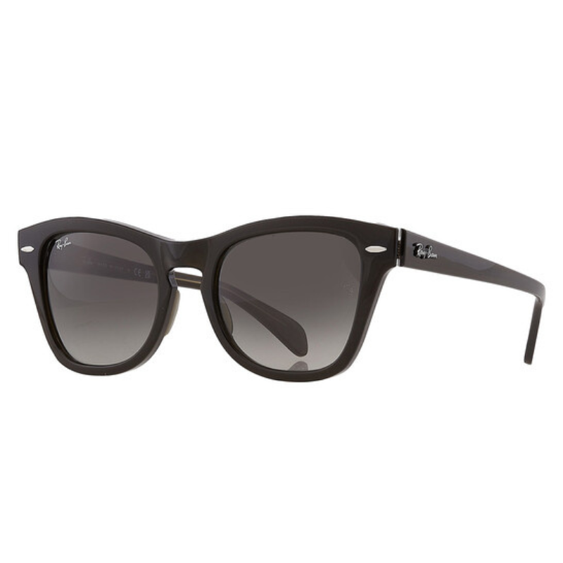 Black Ray-Ban sunglasses with a classic wayfarer design and tinted lenses.