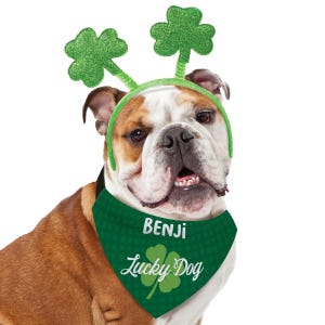 A dog is wearing a green headband with glittery shamrocks and a bandana printed with \“Benji\“ and \“Lucky Dog,\“ featuring a shamrock design.