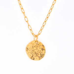 Gold-toned necklace with a textured, round pendant and a chain featuring oval links.