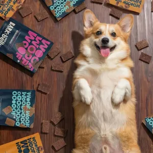 A Corgi lies happily surrounded by dog treat packages labeled \“WOOF WOOF WOOF,\“ and scattered treat squares on a wooden floor.