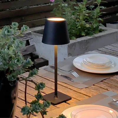 A patio scene with a slim black table lamp, a wooden table set with white dinnerware and silverware, and potted plants in the background.