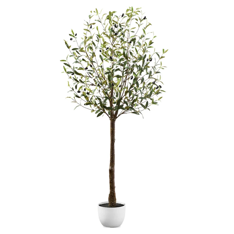 A 5-foot tall potted faux olive tree with a slender trunk and numerous green leaves, adorned with small black olives, set in a simple white pot.