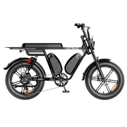A black e-bike with fat tires, dual battery compartments, and a flat rear cargo rack.