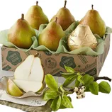 A box of five pears, with one wrapped in gold foil, is accompanied by sliced pear pieces and green branches with small white flowers.