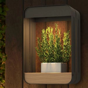The Solar LED Outdoor Wall Shelf is a modern black-framed fixture with integrated lighting, showcasing a small plant in a square pot on a wooden shelf.