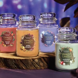 Four Yankee Candle jars from the Fantastical Fall Collection are shown: \“Harvest Gems,\“ \“Golden Pumpkin,\“ \“Moonlit Woods,\“ and \“Enchanted Orchard,\“ arranged on a rustic wooden surface.