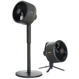 A pair of black Shark fans are shown, one as a pedestal model and the other as a compact tabletop version.