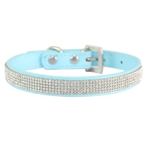 Light blue collar adorned with several rows of sparkling rhinestones and featuring a metal buckle for fastening.