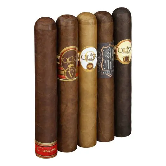 A selection of five cigars, each with distinct labels, featuring various brands and types, arranged upright in a line.
