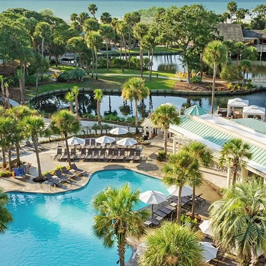 A resort pool area with lounge chairs and umbrellas surrounded by palm trees and a nearby body of water, suggesting a tropical or coastal setting.