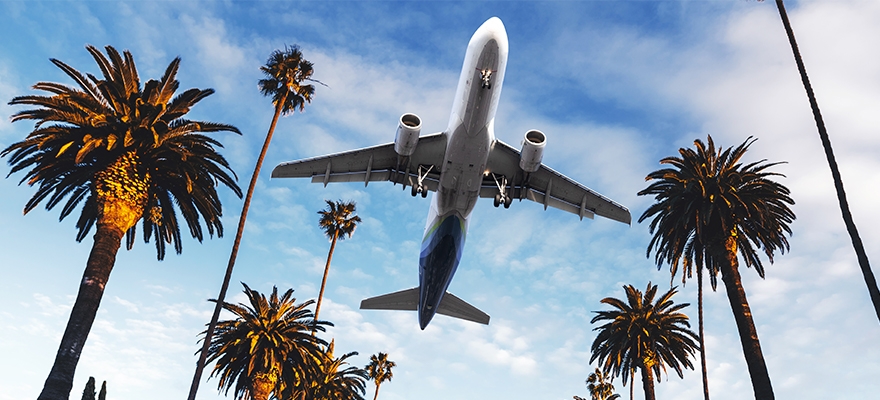 Airplane Flying Over Palm Trees