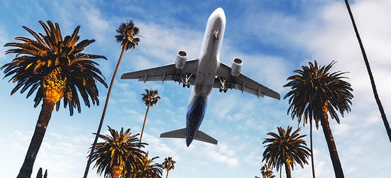 Airplane Flying Over Palm Trees