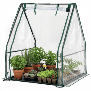 A small, transparent greenhouse houses potted plants, including herbs, succulents, and cacti, offering a controlled environment for growing a variety of plants.