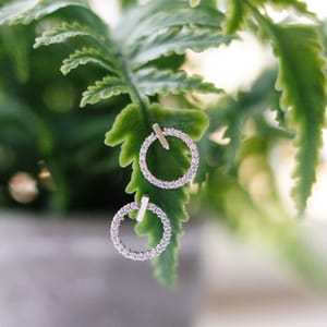 A pair of circular earrings with small gemstones hanging on a green fern leaf.