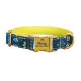 A blue and yellow dog collar with a floral pattern, featuring a gold buckle engraved with \“Murray\“ and a phone number.