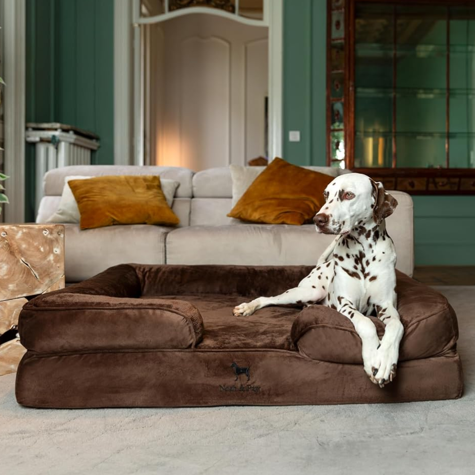 A Dalmatian sits on a large, plush brown dog bed placed in a stylish living room with a beige couch and decorative pillows.