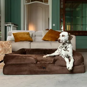 A Dalmatian sits on a large, plush brown dog bed placed in a stylish living room with a beige couch and decorative pillows.