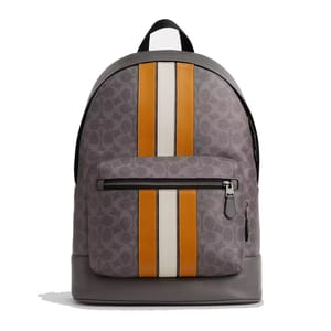 Gray leather backpack with signature pattern, featuring vertical orange and white stripes, front zipper pocket, and top handle.